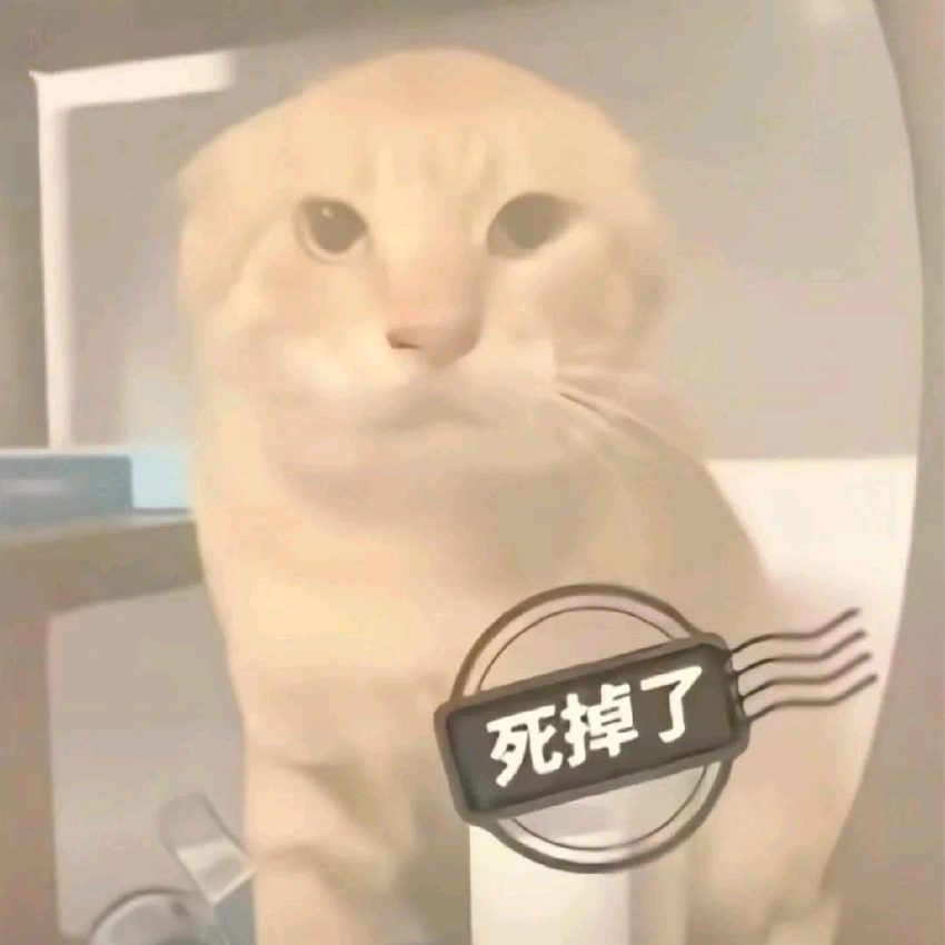 装饰猫咪-深色